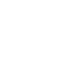 merit 02